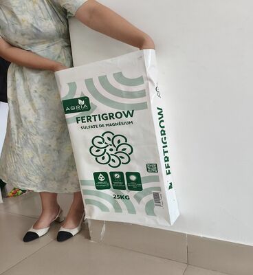 Giá tốt. Túi lót PE tùy chỉnh Mẫu miễn phí có sẵn cho bao bì hạng nặng trực tuyến