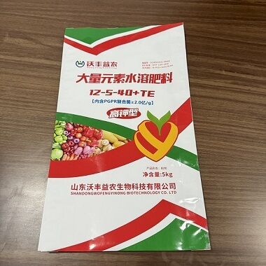 quality Durable Composite Bags with 8 To 20 Silk Thickness for Acid and Alkali Resistant Fertilizer Packaging Featuring Double Sealing Technology factory